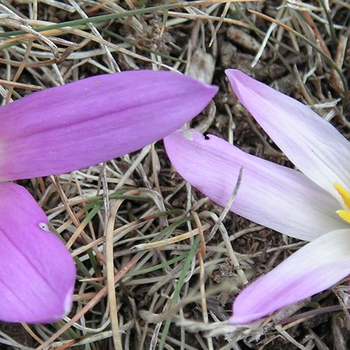 Cuándo y dónde practicar